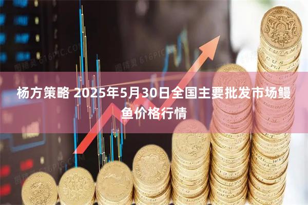 杨方策略 2025年5月30日全国主要批发市场鳗鱼价格行情