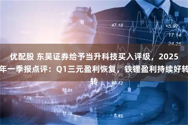 优配股 东吴证券给予当升科技买入评级，2025年一季报点评：Q1三元盈利恢复，铁锂盈利持续好转