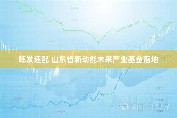 旺发速配 山东省新动能未来产业基金落地